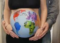 World-Wide Surrogacy Ltd
