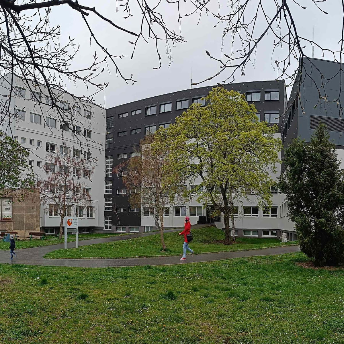 IVF in Prague, photo 4 of 5