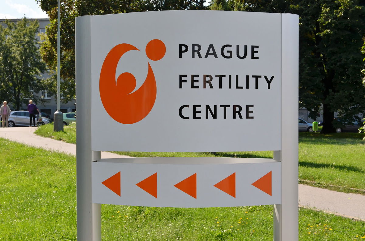 IVF in Prague, photo 3 of 5