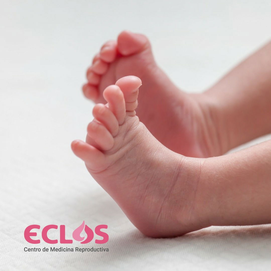 ECLOS Fertility, photo 3 of 5
